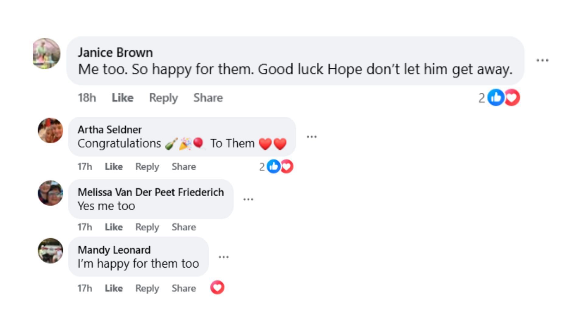 Comments by fans on the post (Image via Facebook/@Rosie Paino)
